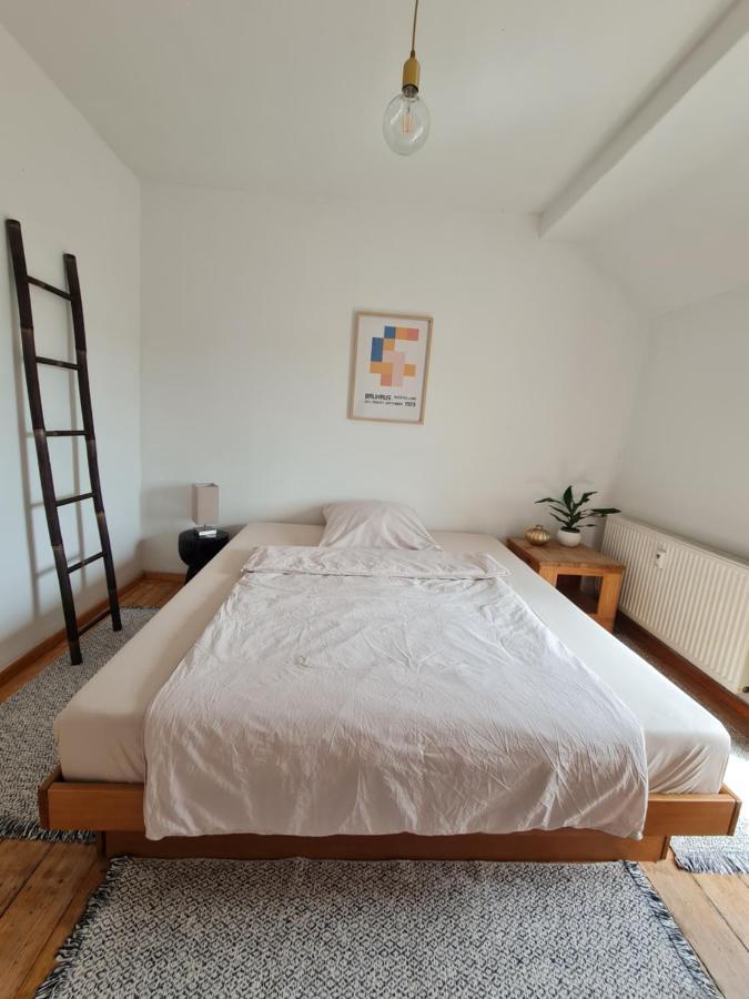 Geschmackvolle Wohnung Im Herzen Von סינציך מראה חיצוני תמונה